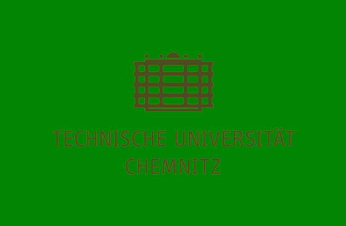 Technische Universität Chemnitz — Gestiktraining mit Dr. Jana Bressem